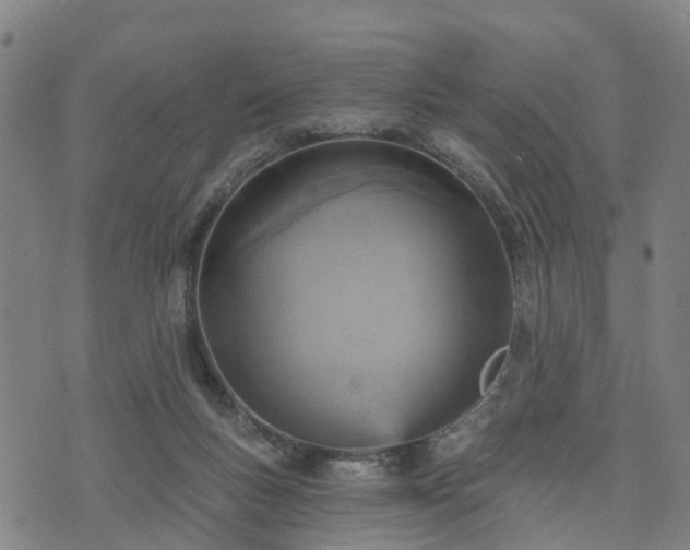 X0000074940167200609081400