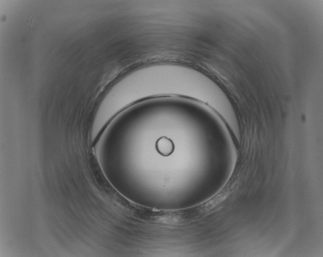 X0000074940168200609081400