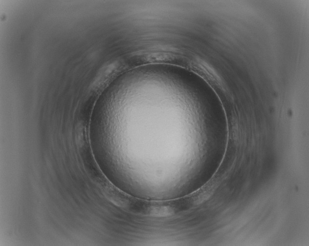 X0000074940169200609081400