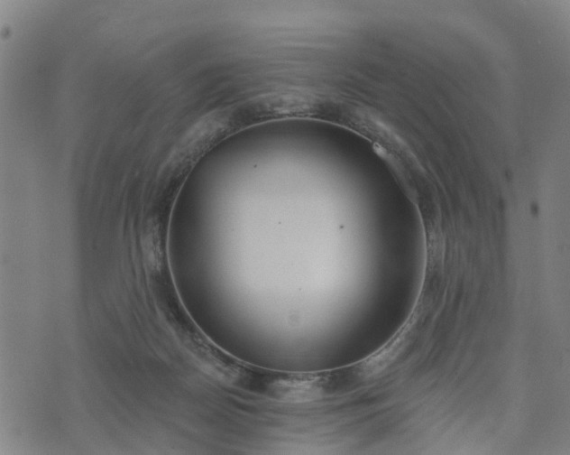 X0000074940170200609081400