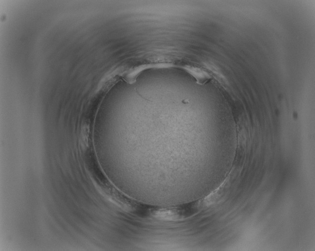 X0000074940171200609081400