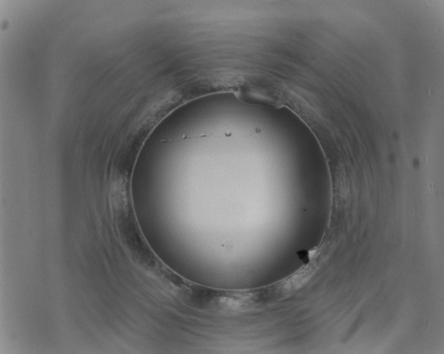 X0000074940172200609081400