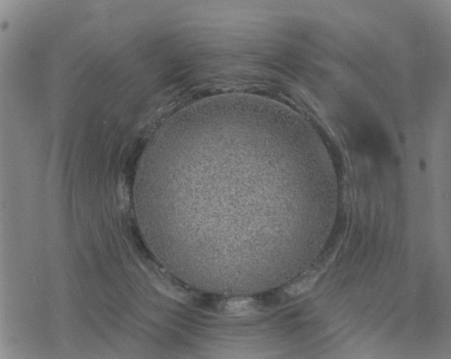 X0000074940173200609081400