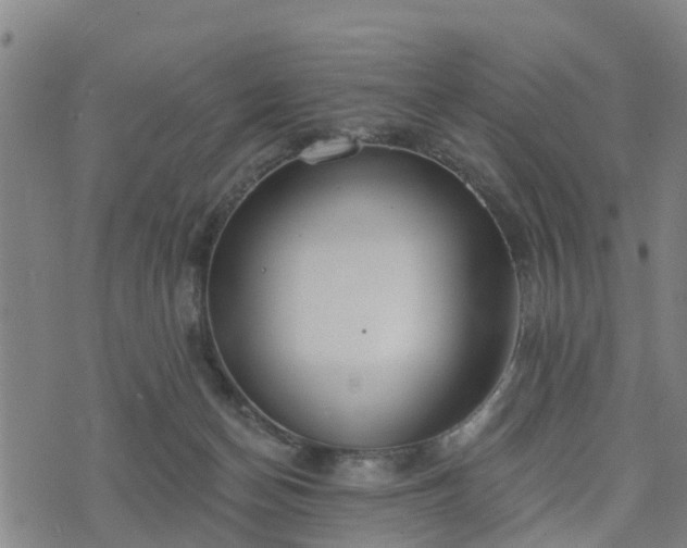 X0000074940174200609081400