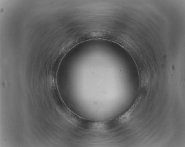 X0000074940176200609081400