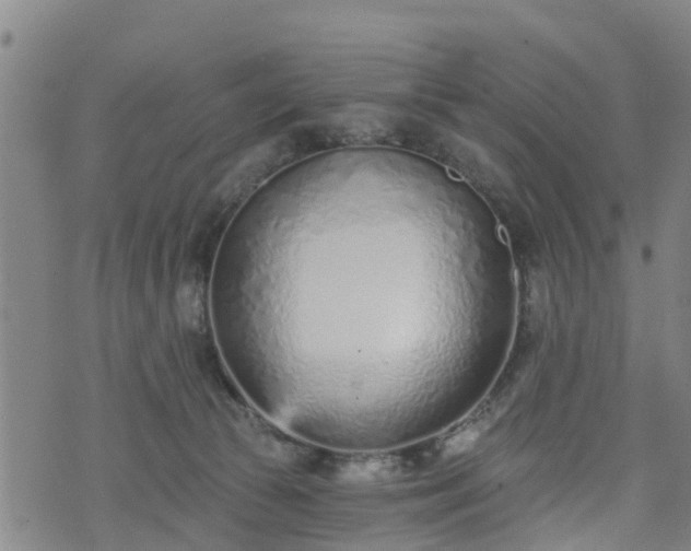 X0000074940177200609081400