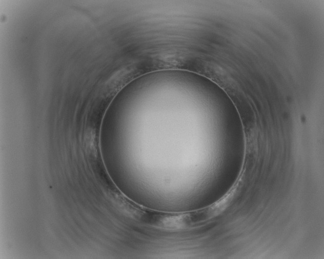 X0000074940178200609081400