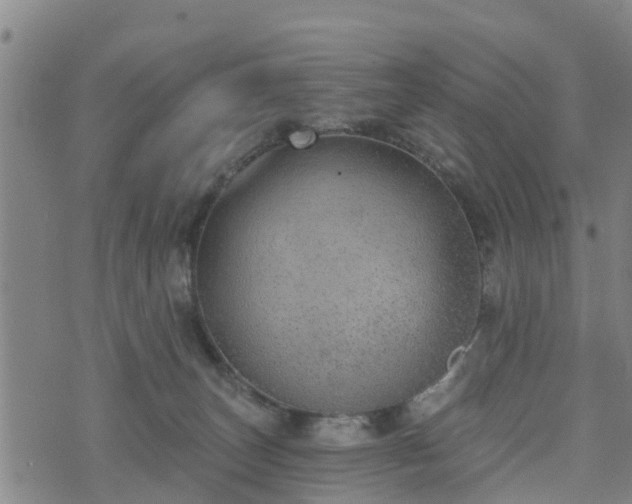 X0000074940179200609081400