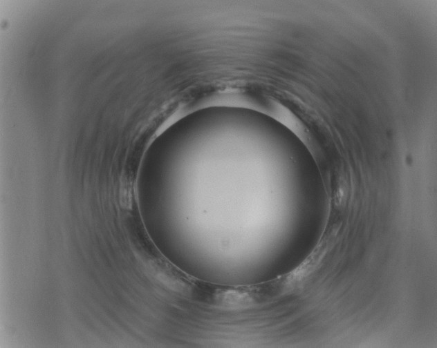 X0000074940180200609081400