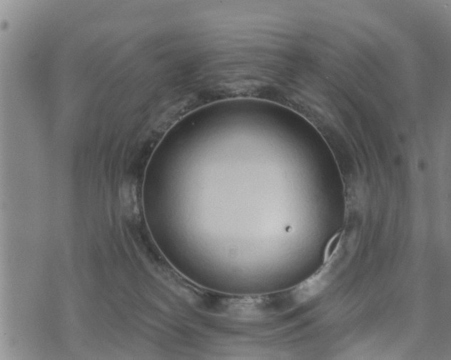 X0000074940182200609081400