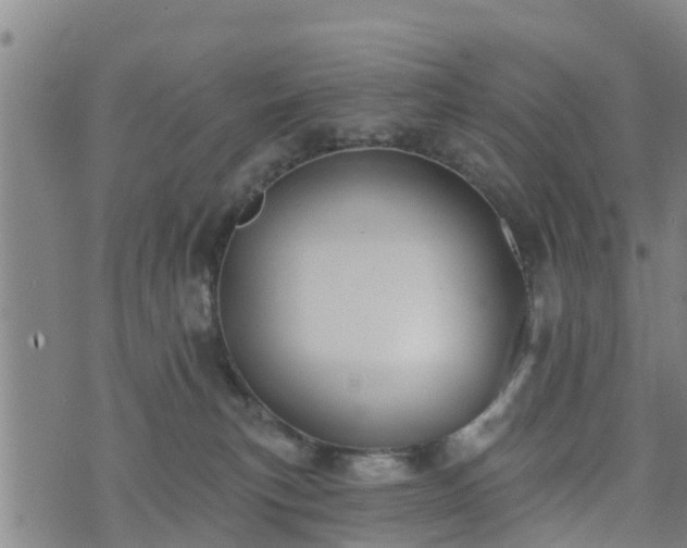 X0000074940183200609081400