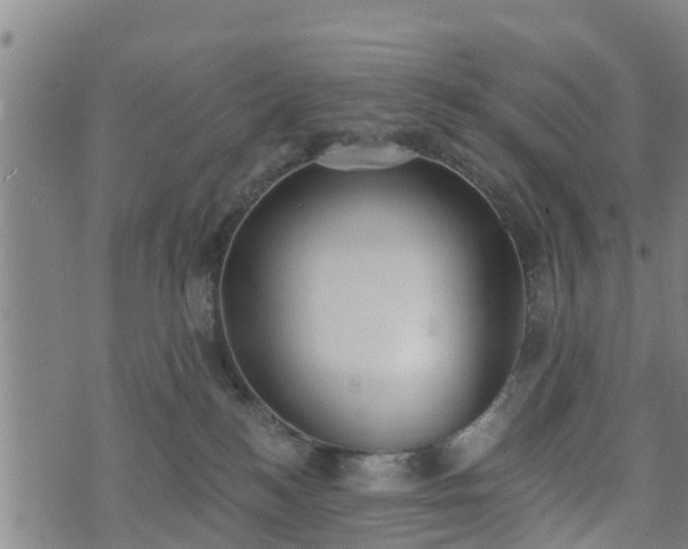 X0000074940184200609081400