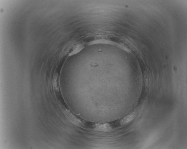 X0000074940185200609081400