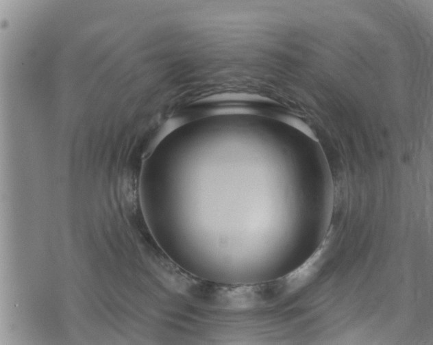 X0000074940186200609081400