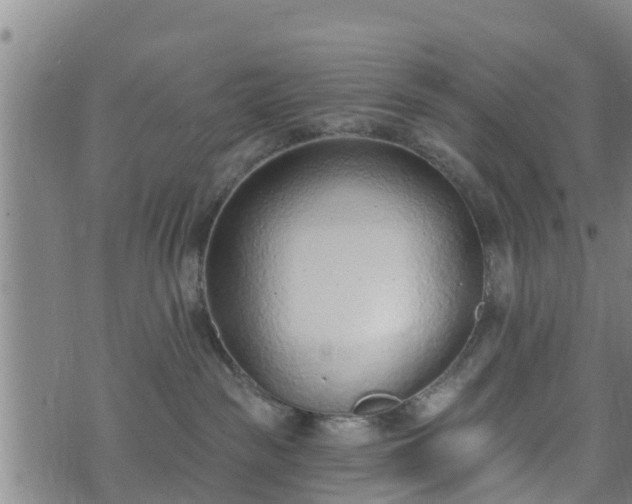 X0000074940189200609081400