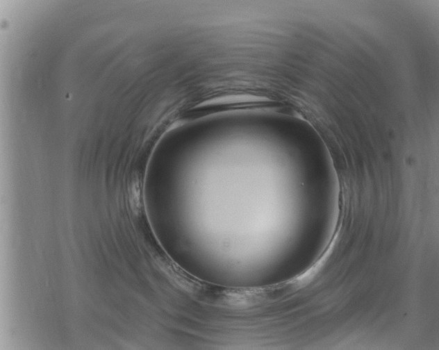 X0000074940190200609081400