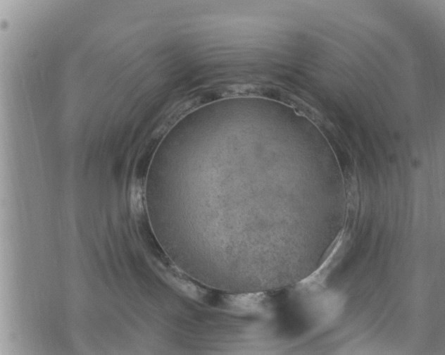 X0000074940191200609081400