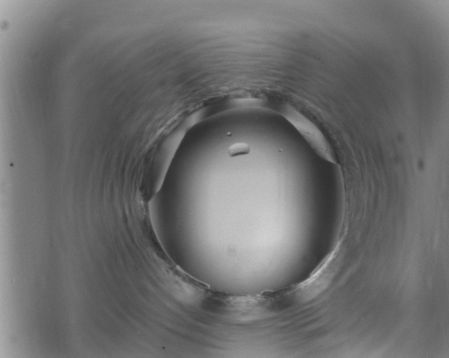 X0000074940192200609081400