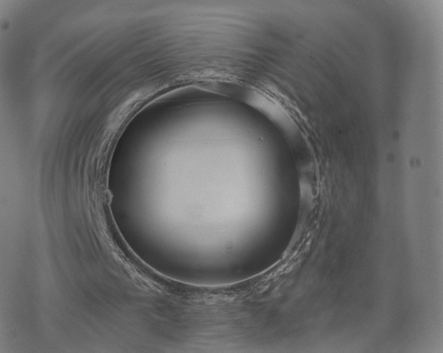 X0000074940193200609081359