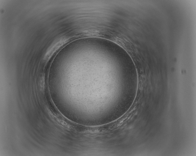 X0000074940194200609081359