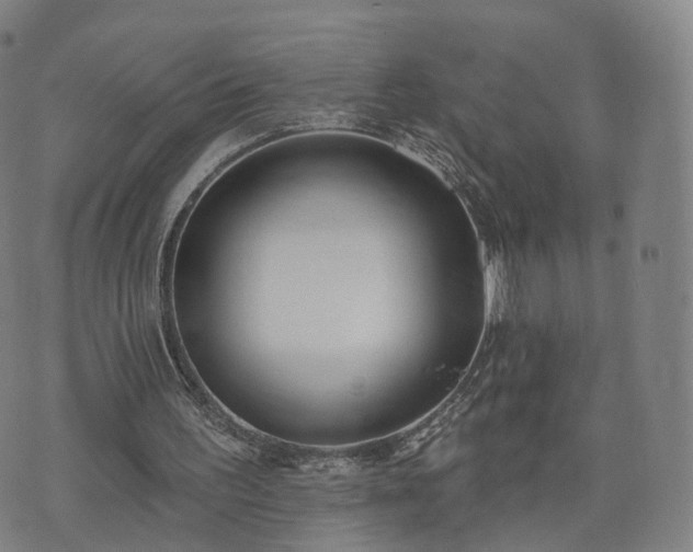 X0000074940195200609081359