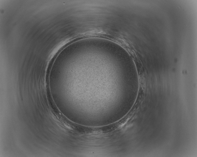 X0000074940196200609081359