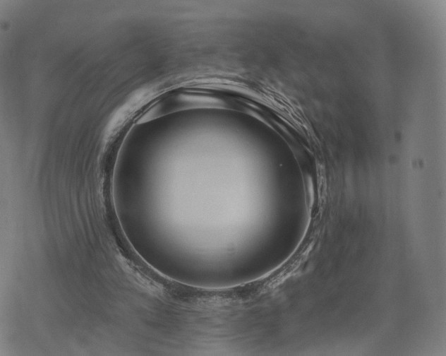 X0000074940197200609081359