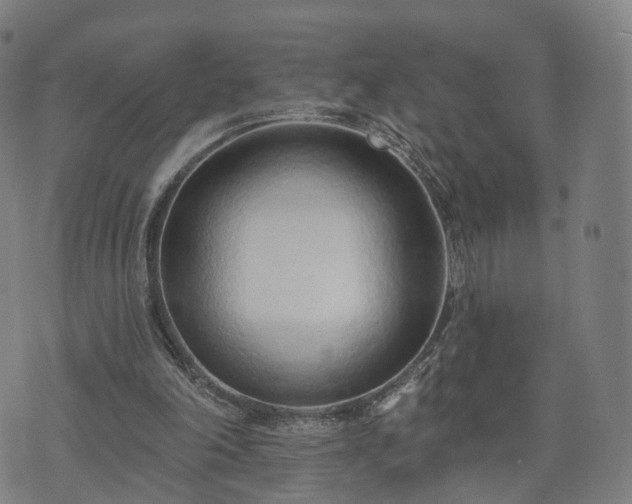 X0000074940198200609081359