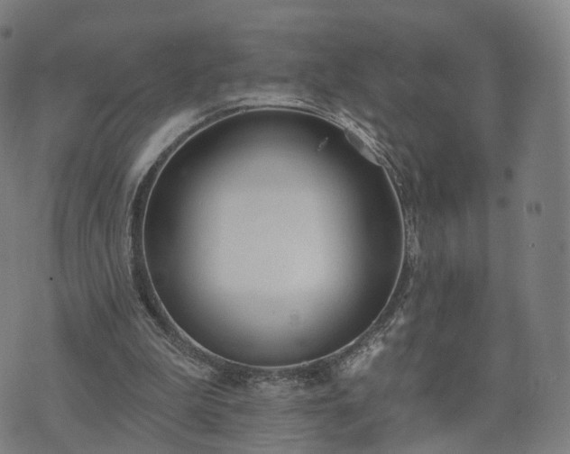 X0000074940199200609081359