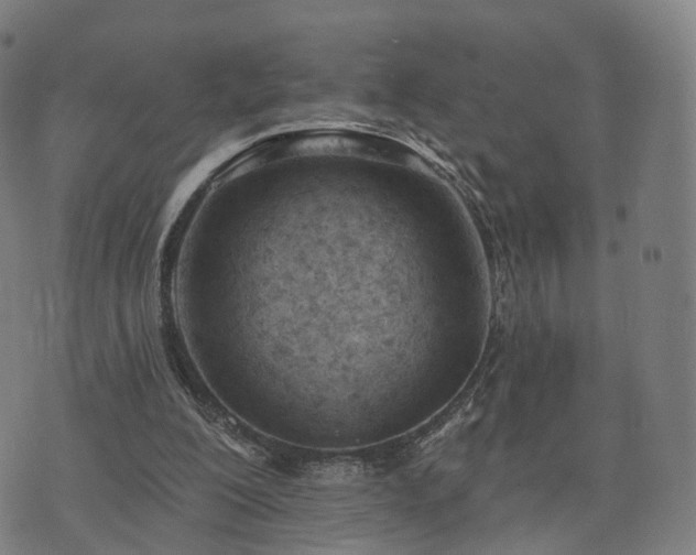 X0000074940200200609081359