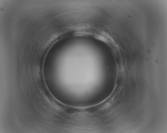 X0000074940201200609081359