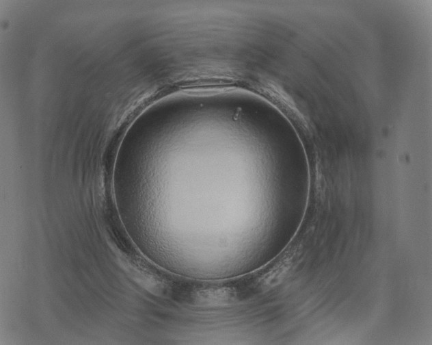 X0000074940202200609081359