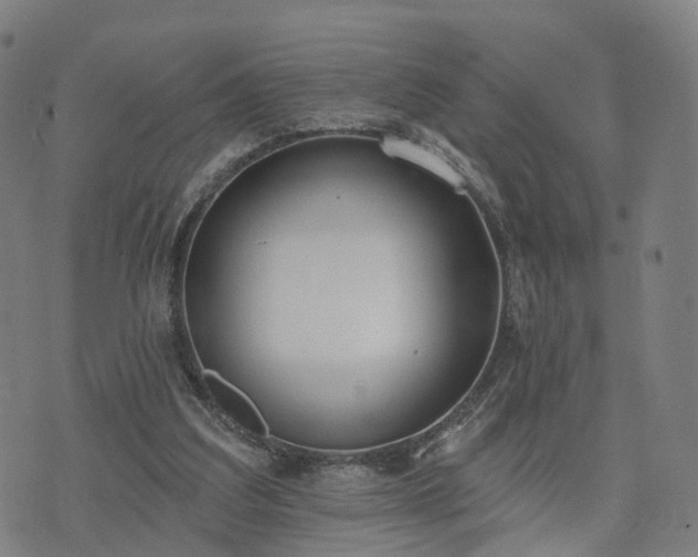 X0000074940203200609081359