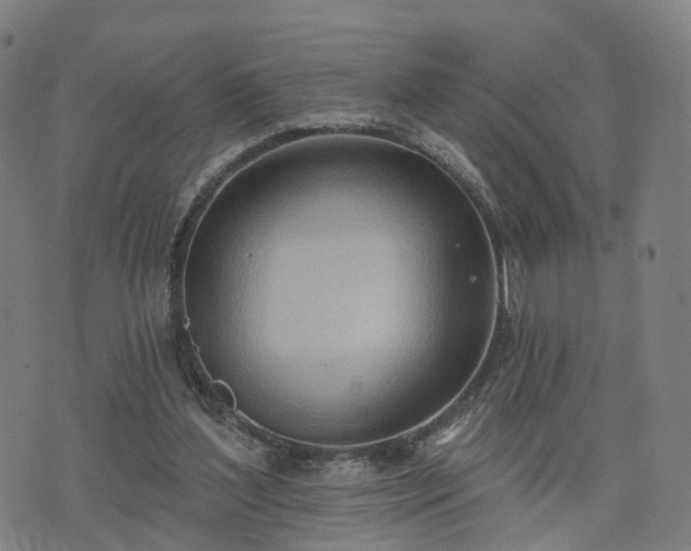 X0000074940204200609081359