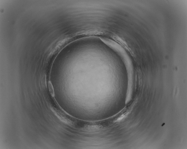 X0000074940205200609081359