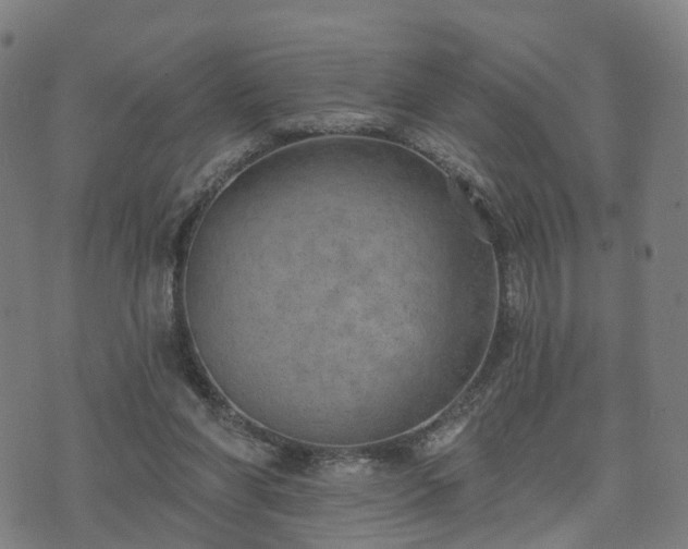 X0000074940206200609081359