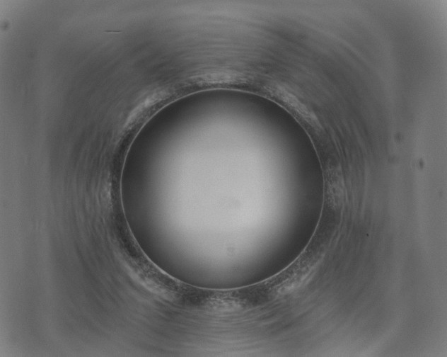 X0000074940207200609081359