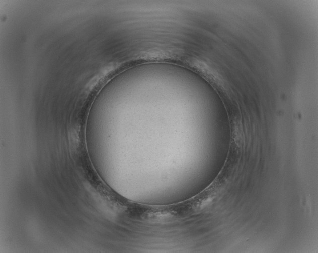 X0000074940208200609081359