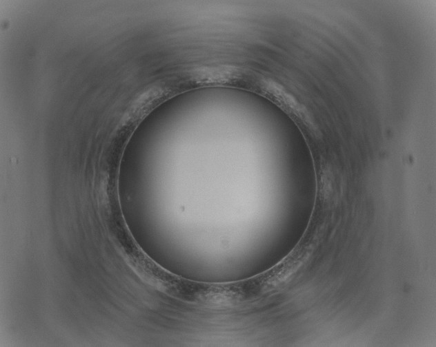 X0000074940209200609081359