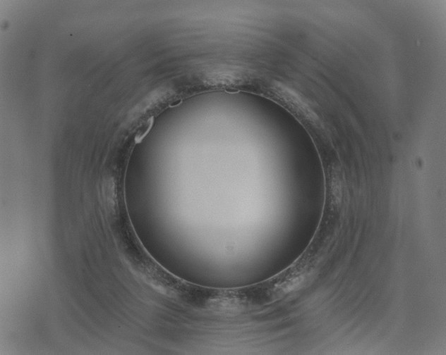 X0000074940211200609081359