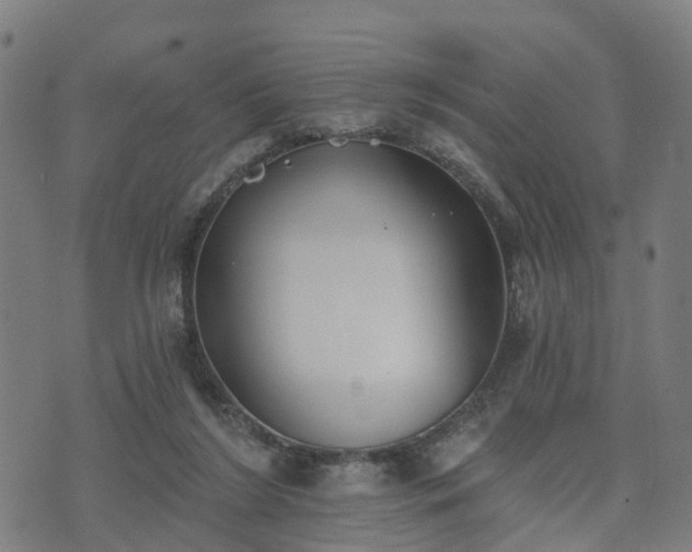 X0000074940212200609081359