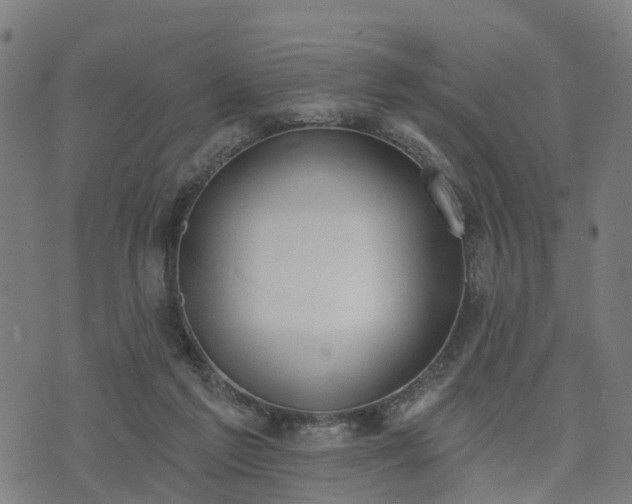 X0000074940213200609081359