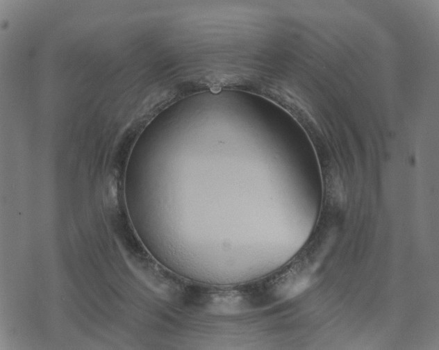 X0000074940214200609081359