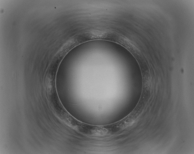 X0000074940215200609081359