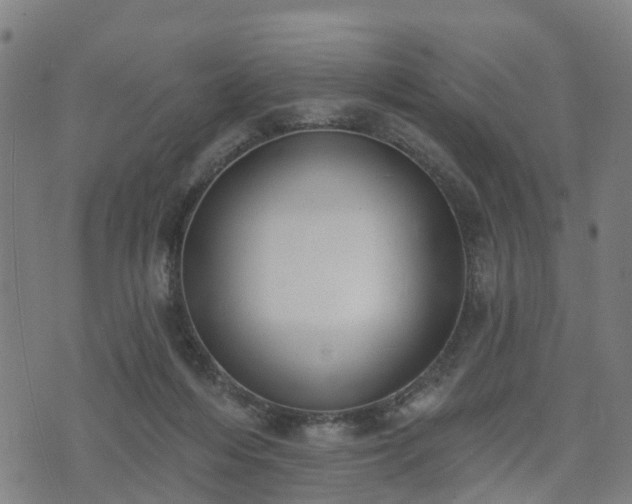 X0000074940216200609081359