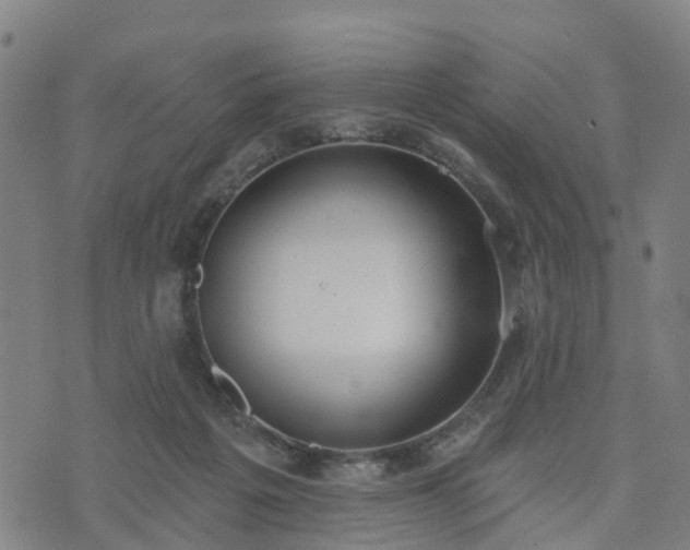 X0000074940217200609081359