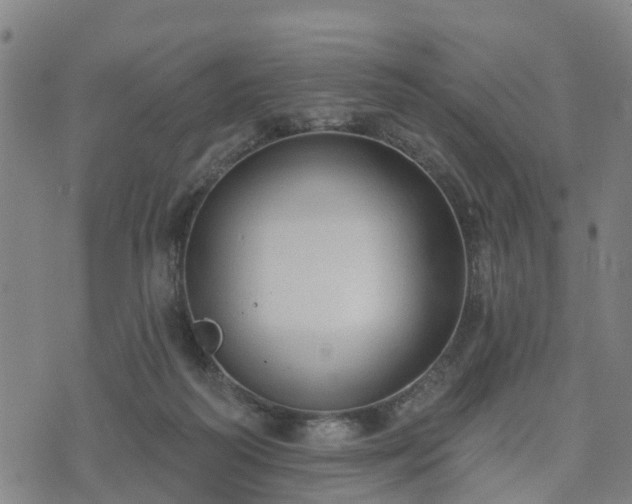 X0000074940218200609081359