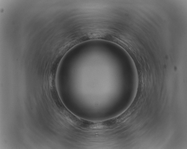 X0000074940219200609081359