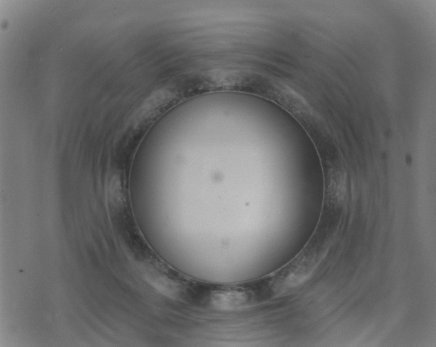 X0000074940220200609081359