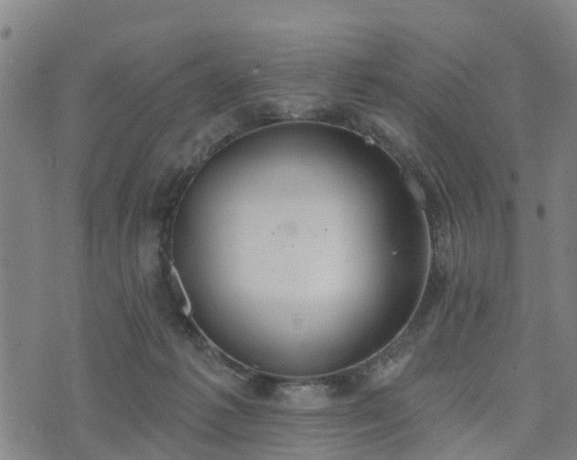 X0000074940221200609081359